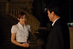 真爱的背后在线观看  第1张